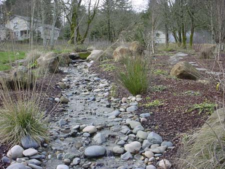 Landscape Rock Stream Brush Praire WA