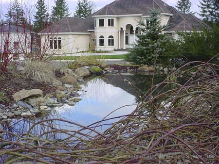 Landscape Pond Vancouver WA